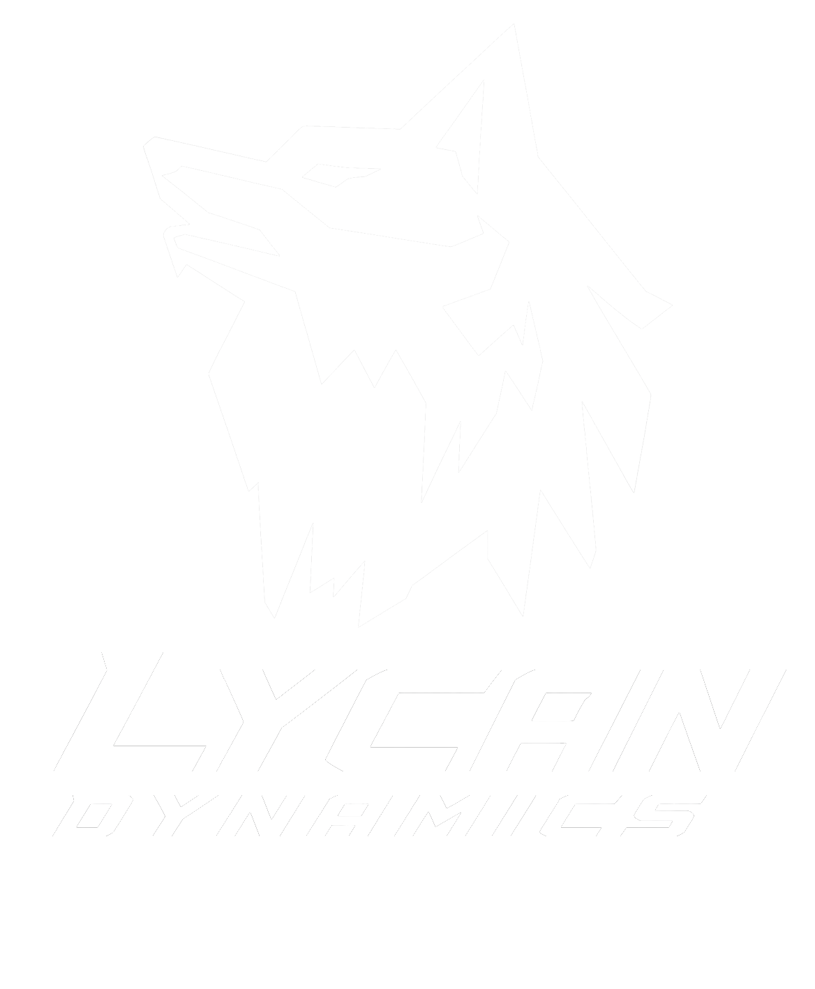 LYCAN Dynamics